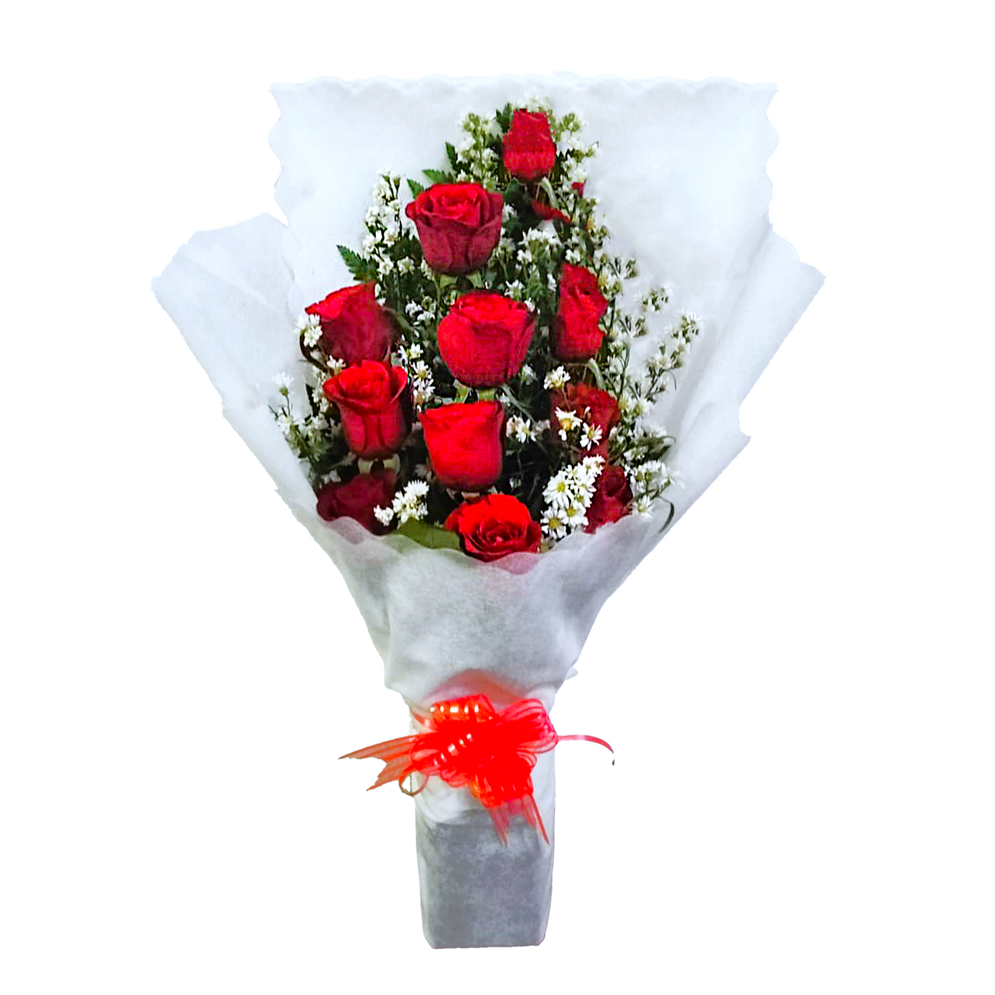 Rose, Fresh Flower, Graduation