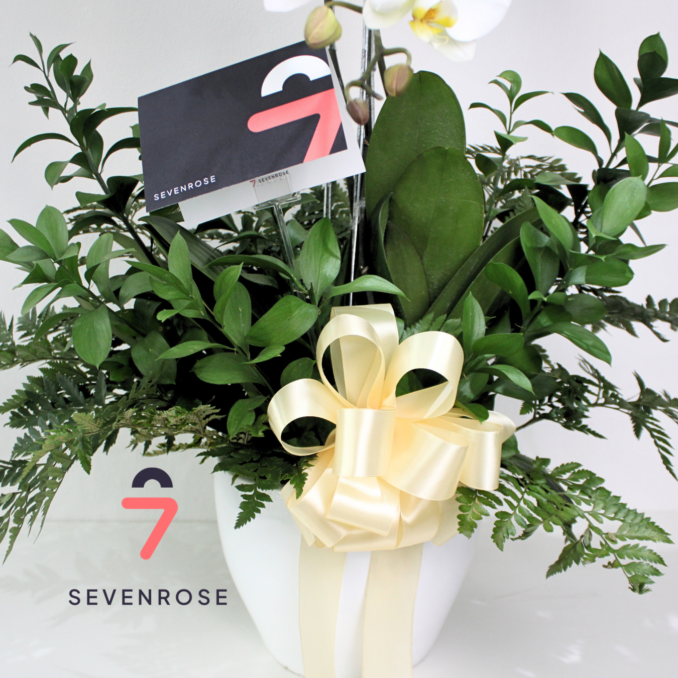 Elegan, Premium, Vase