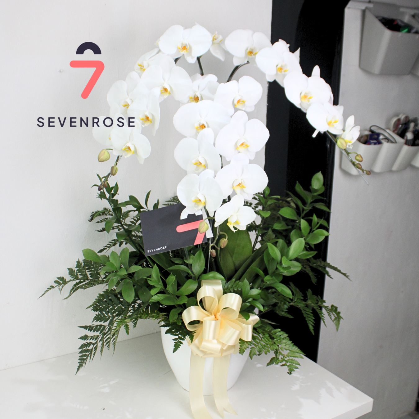 Vase, Elegan, Fresh