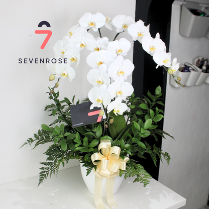 Vase, Elegan, Fresh