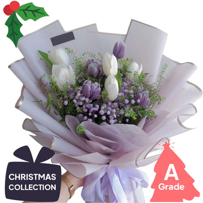 Christmas, Tulip, Premium