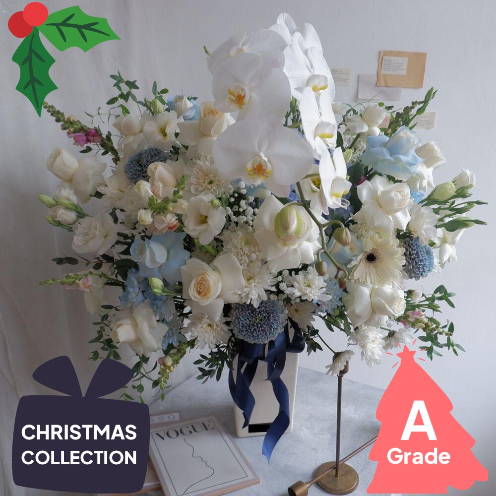 Christmas, Vase, Elegan