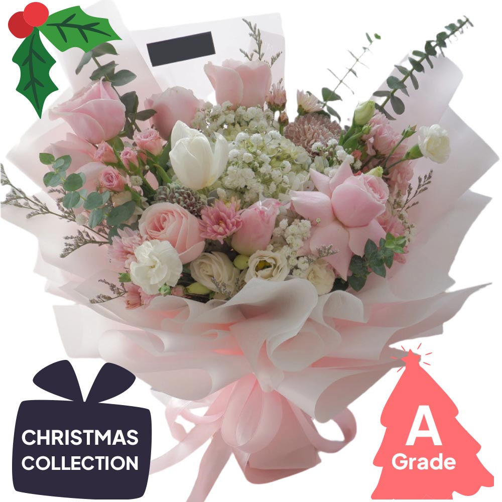 Christmas, Rose, Premium