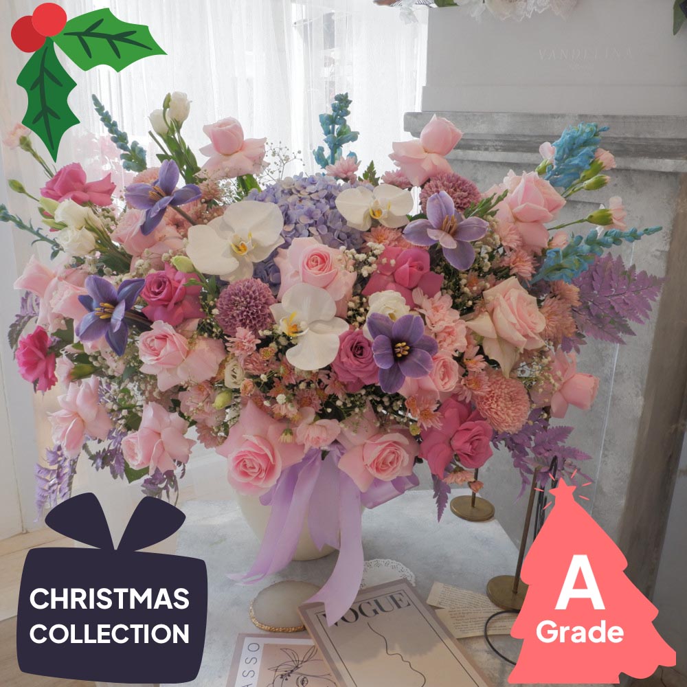 Christmas, Vase, Orchid