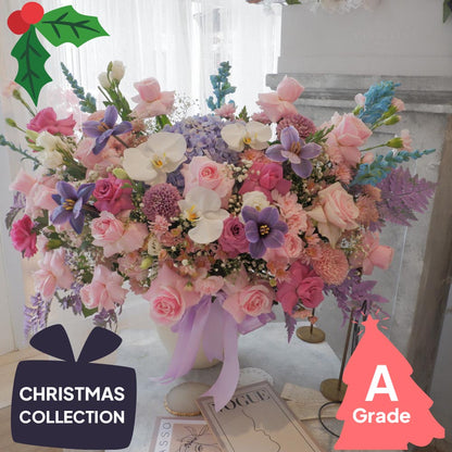 Christmas, Vase, Orchid