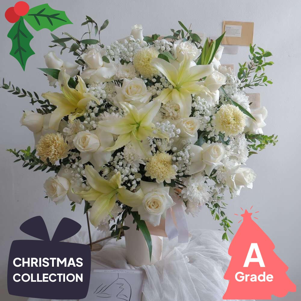 Christmas, Vase, Baby Breath