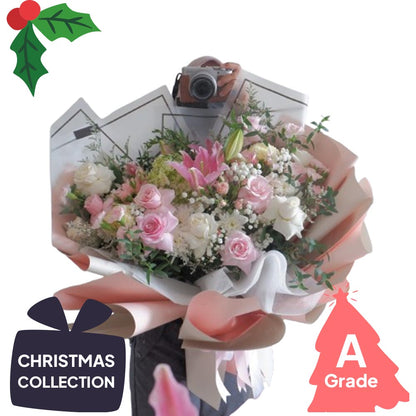 Christmas, Lily, Rose