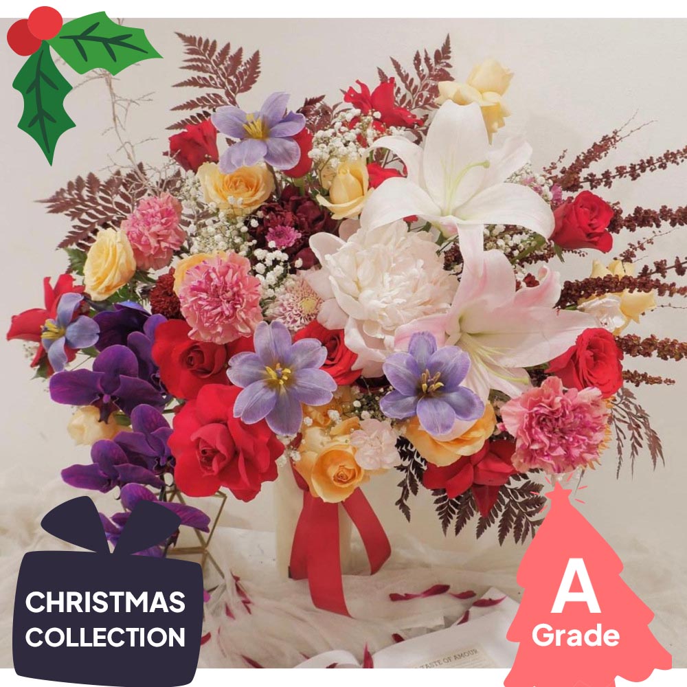 Christmas, Premium, Elegan