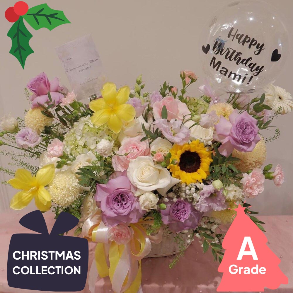 Christmas, Sunflower, Premium