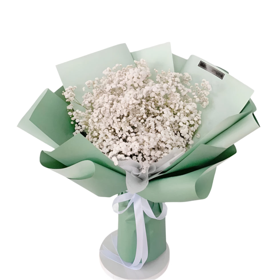 Baby Breath, Graduation, Bouquet Flower