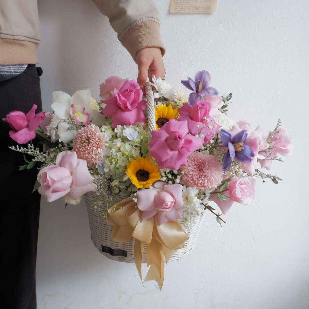 Basket Flower, Elegan, Sun Flower