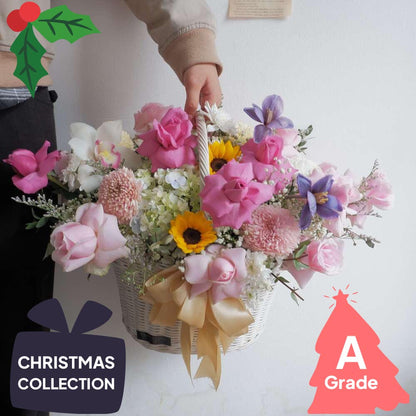 Christmas, Hydrangea, Rose