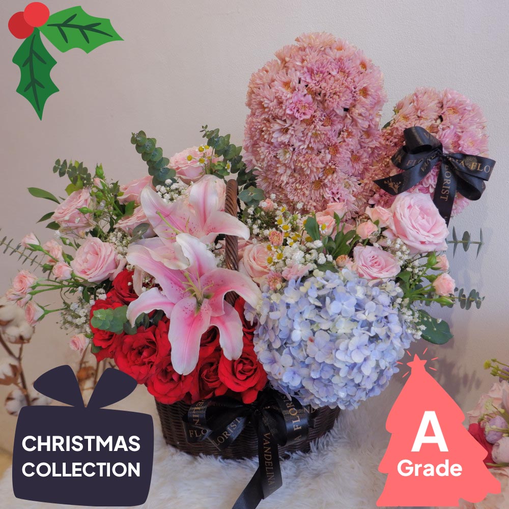 Christmas, Lily, Hydrangea