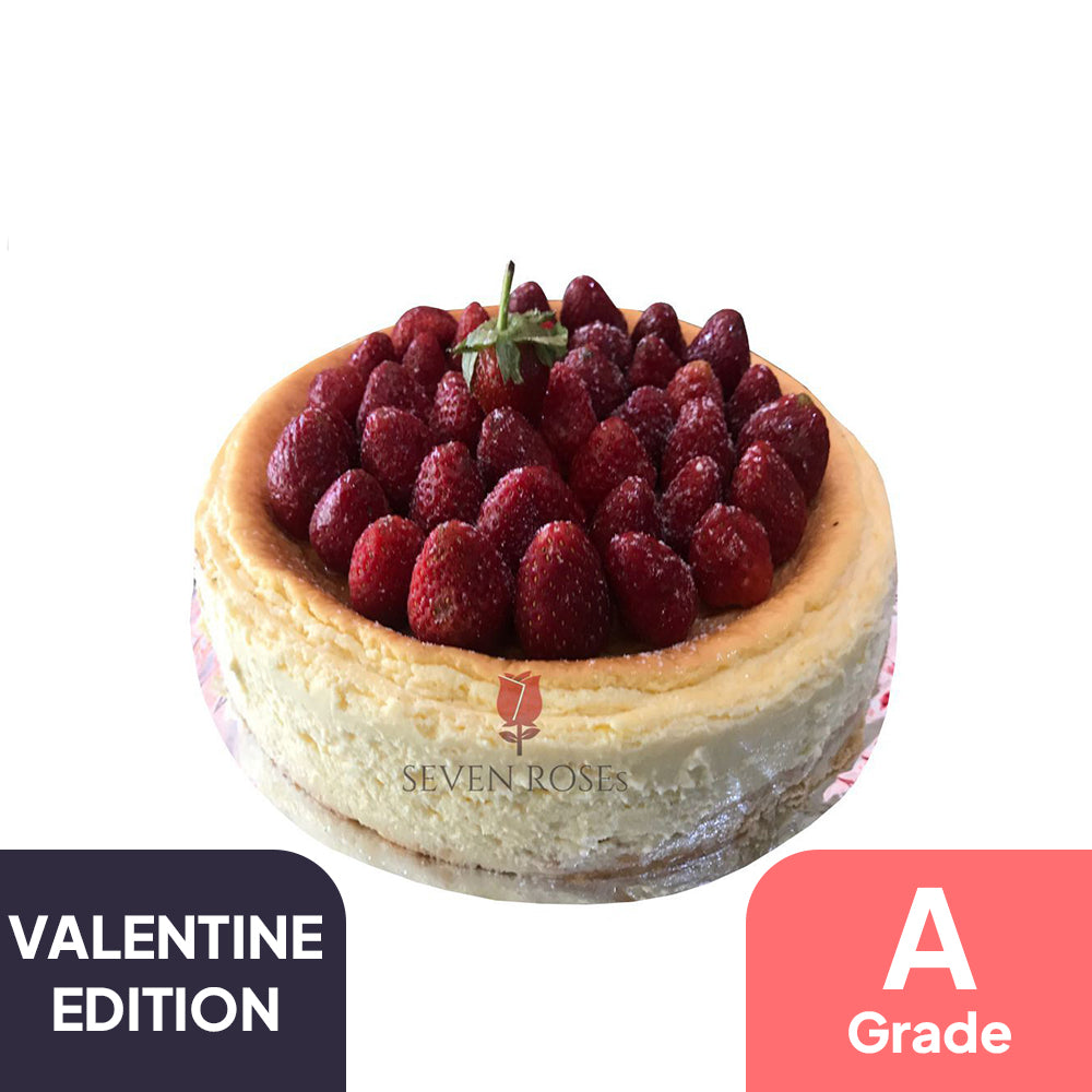 Vlavium Dark Red