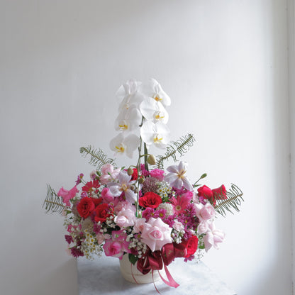 Orchid, Rose, Vase
