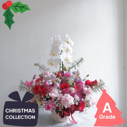 Christmas, Vase, Orchid