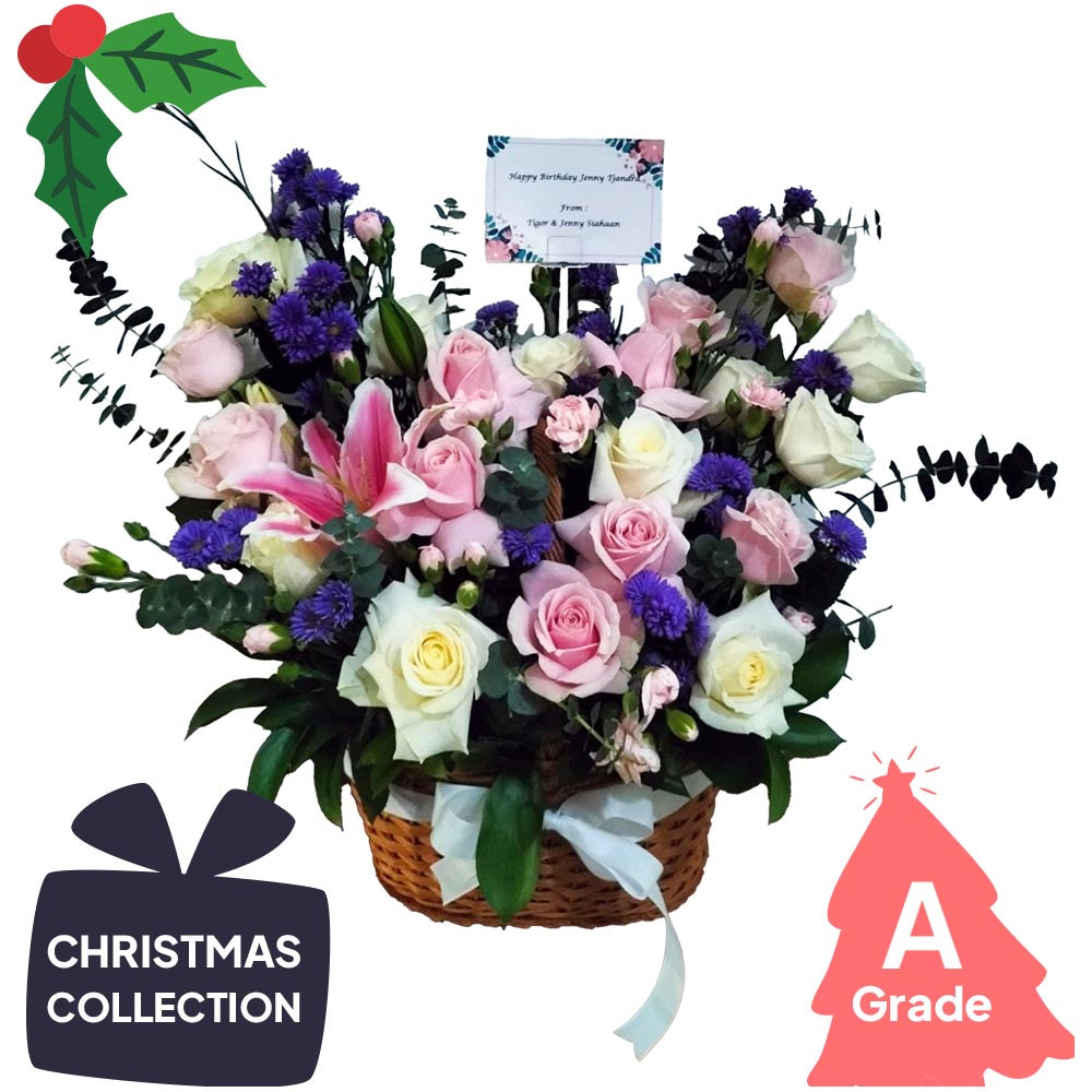 Christmas, Lily, Rose