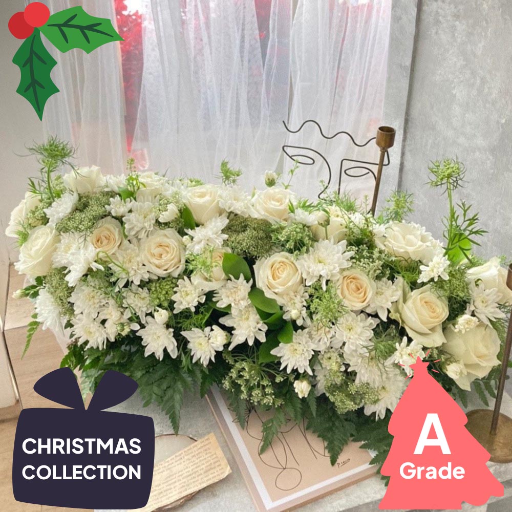 Christmas, Krisan, Premium