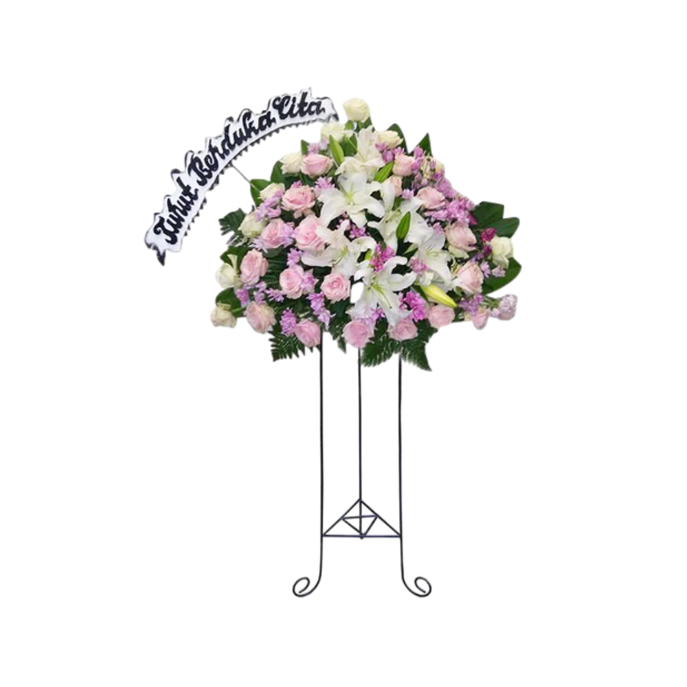 White Condolance - AXA