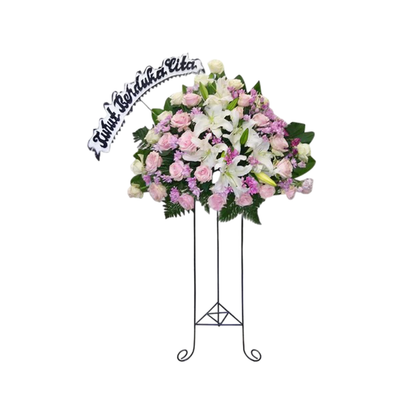 White Condolance - Vivo