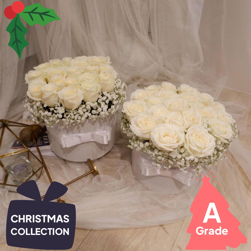 Christmas, Bloombox, Rose