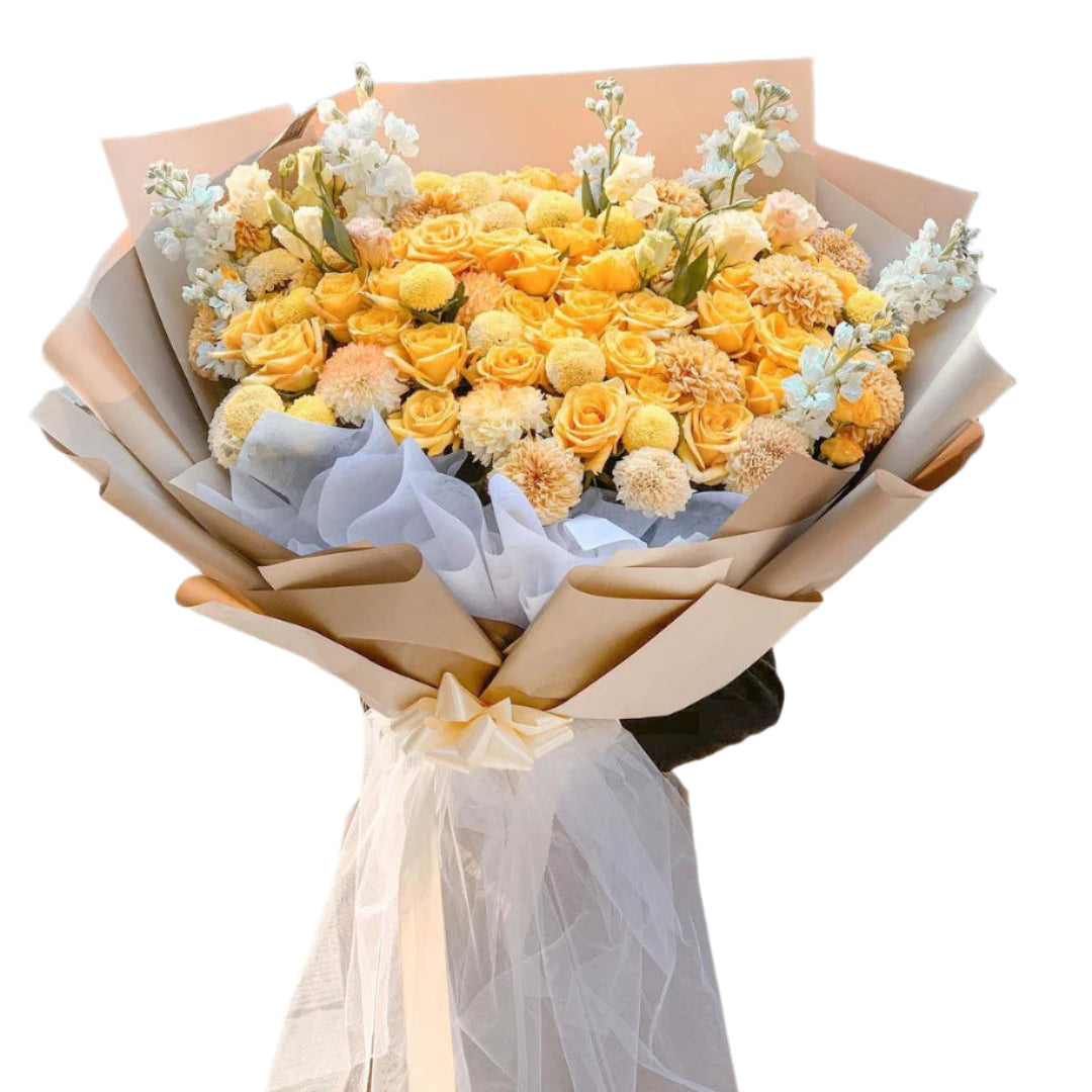 Rose, Graduation, Elegan