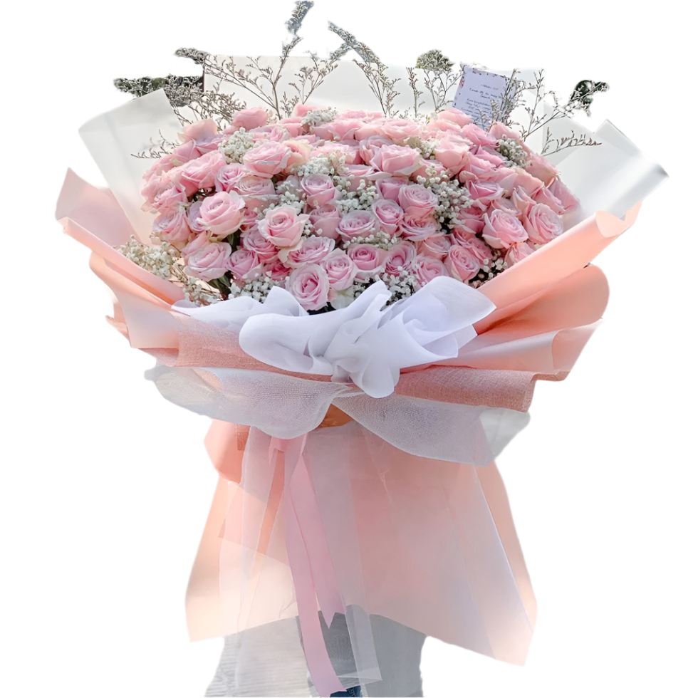 Rose, Graduation, Fresh Flower