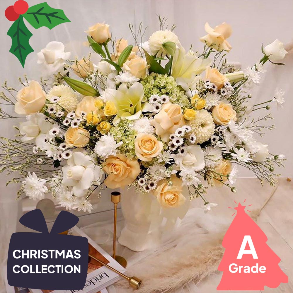 Christmas, Vase, Rose