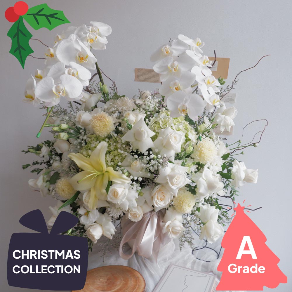 Christmas, Bloombox, Orchid