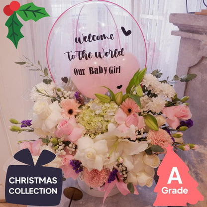 Christmas, Hot Air Bloombox, Premium