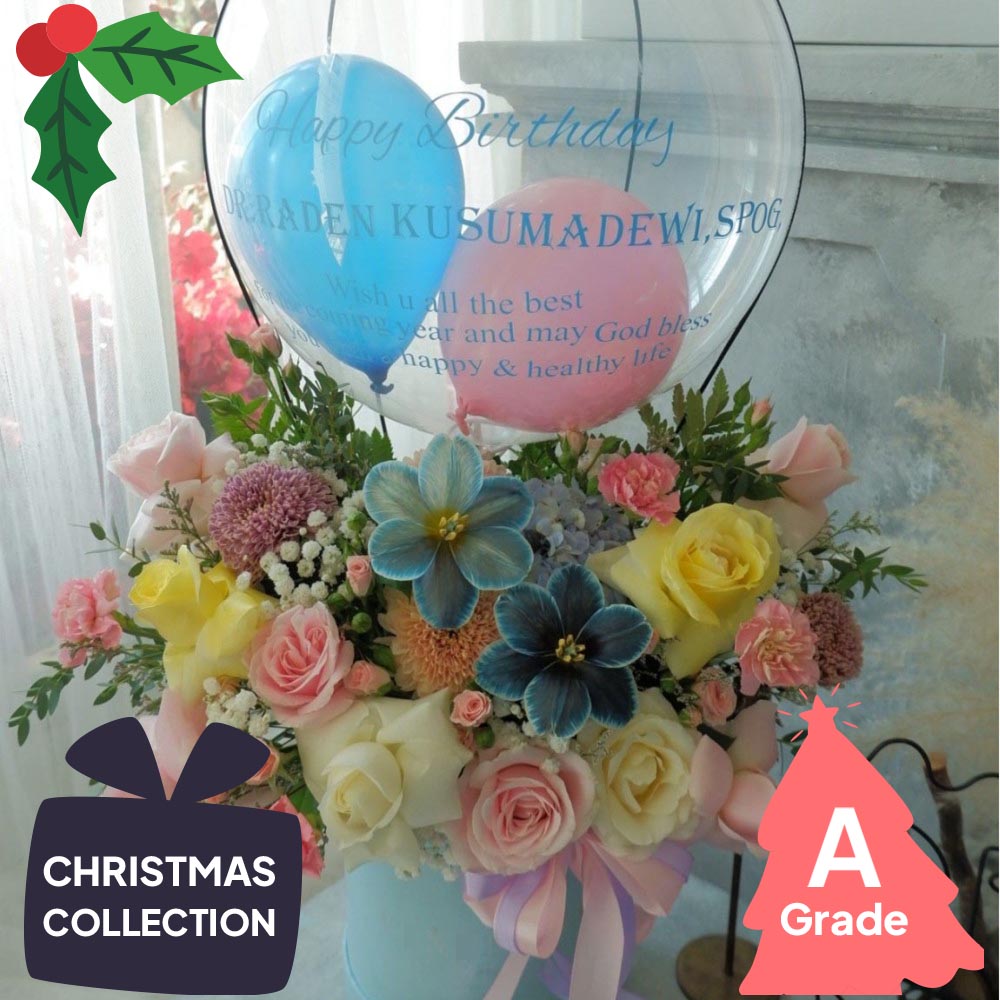 Christmas, Hot Air Bloombox, Premium