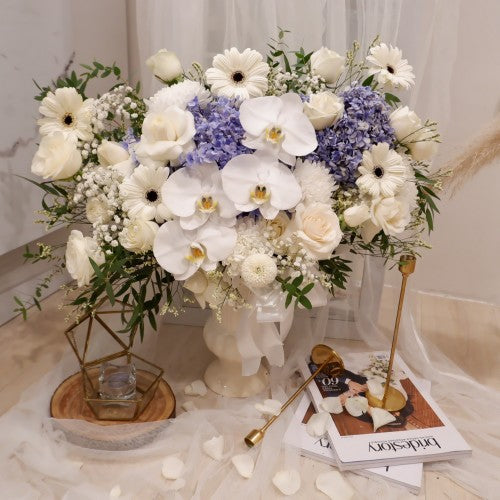 Orchid, Vase, Garbera